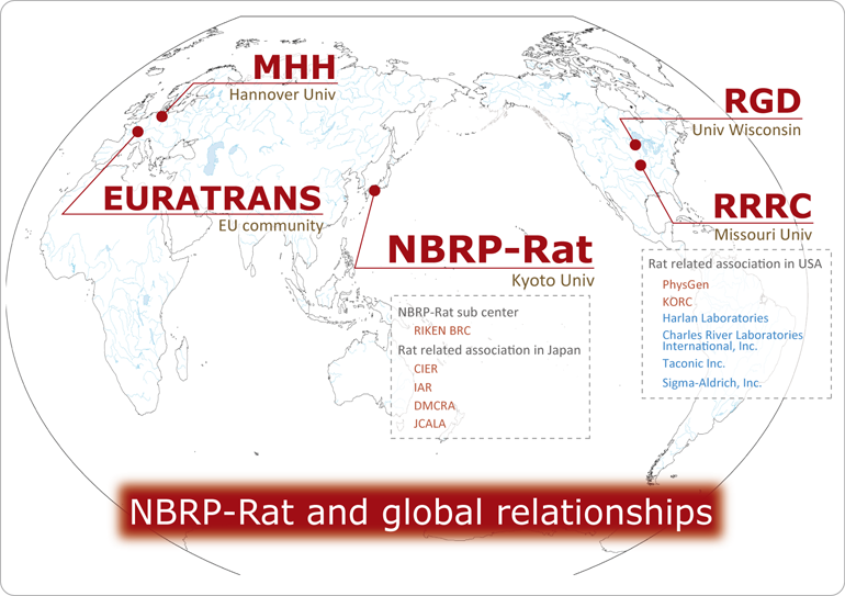 Rat World Map - click for jumping each website