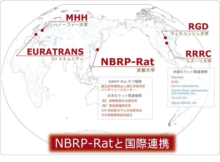 Rat World Map - click for jumping each website