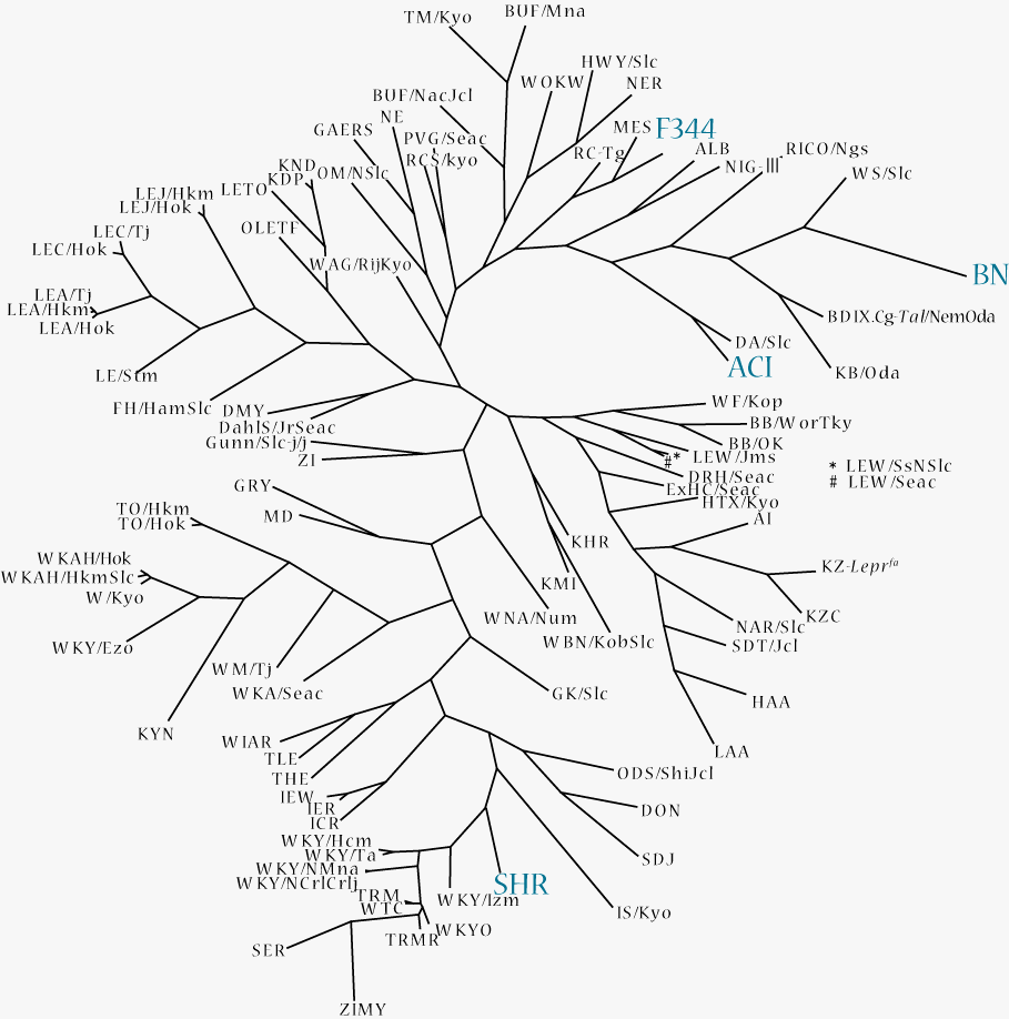 Phylogenetic Tree - click for strain details