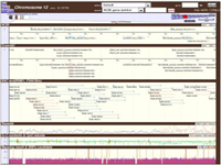 gemone sequence