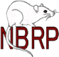 NBRP Rat